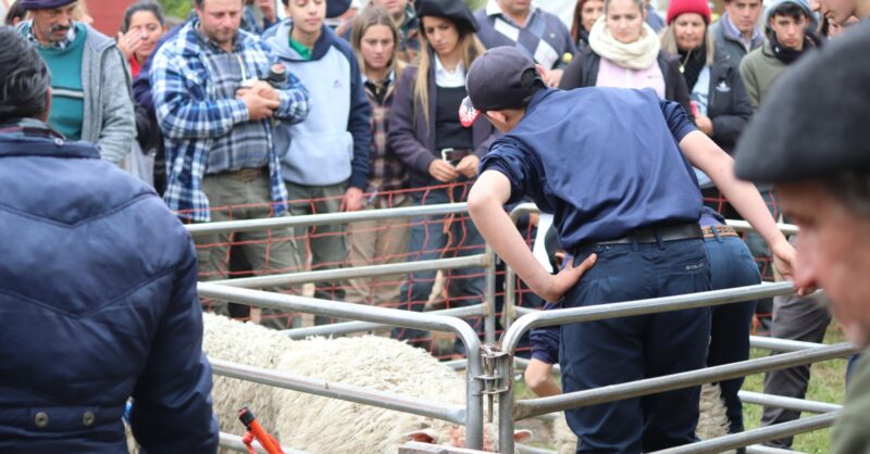 Jornada Ovina – Escuela Agraria Santa Clara de Olimar