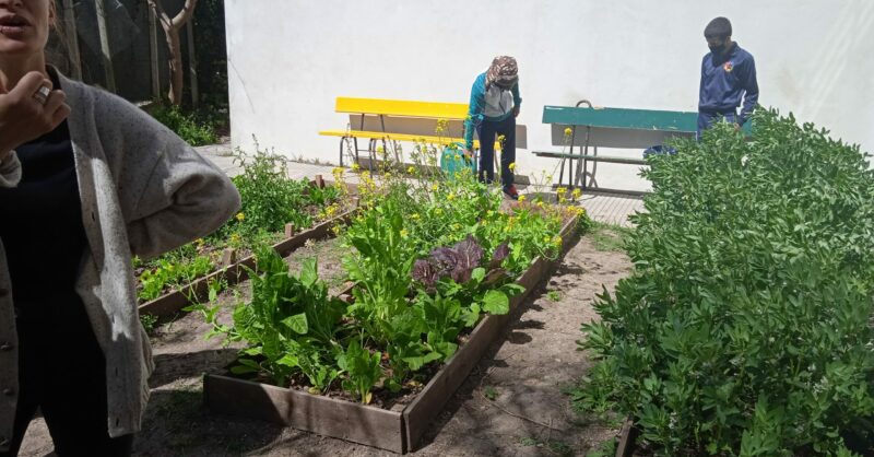 Encuentro de Huerta, Cocina y compostaje – Escuela Técnica Malvín Norte