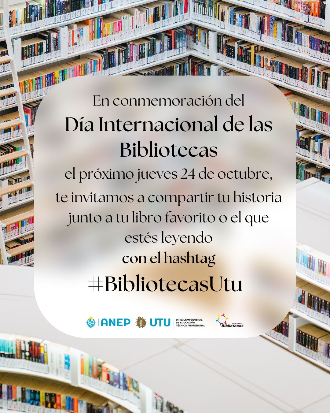 En este momento estás viendo 24 de Octubre, Día Internacional de las Bibliotecas