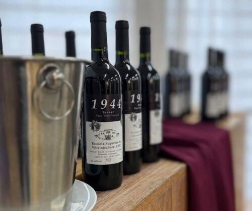 Salón del Vino 2025 - 17