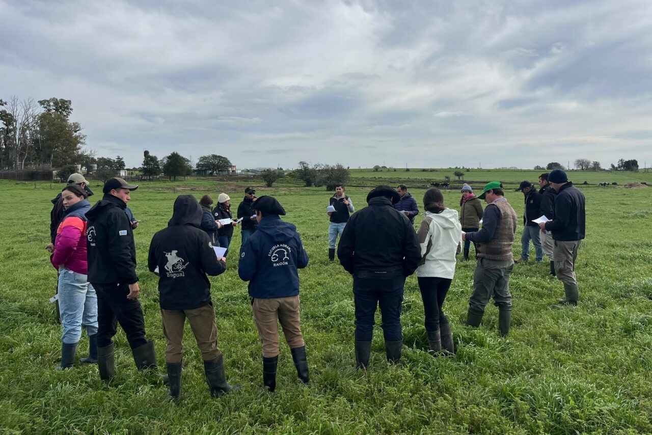 Jornada de intercambio sobre recursos para la gestión estratégica de pasturas y verdeos