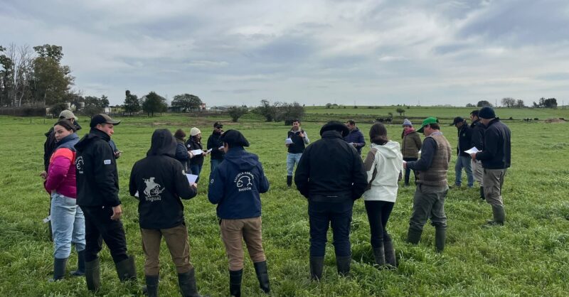 Jornada de intercambio sobre recursos para la gestión estratégica de pasturas y verdeos